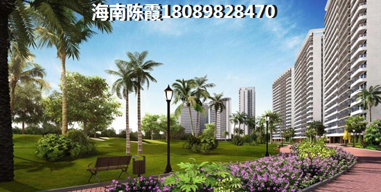 朋字女孩起名好吗属虎