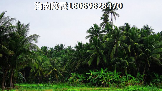 装修为什么要打墙
