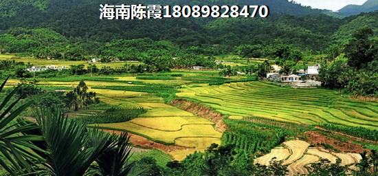 炒肉怎么炒又松又软不柴