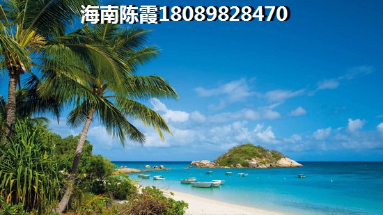 惠民县十大热门特产美食推荐（惠民县名吃有哪些）