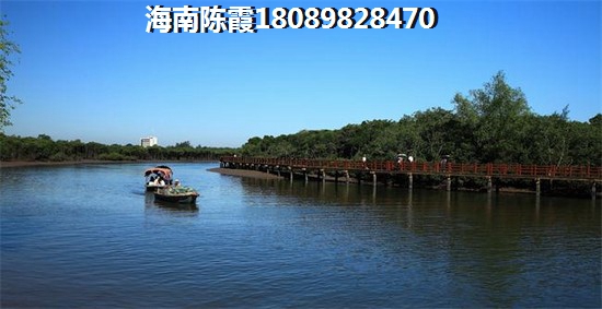 嘿嘿哥饮用水
